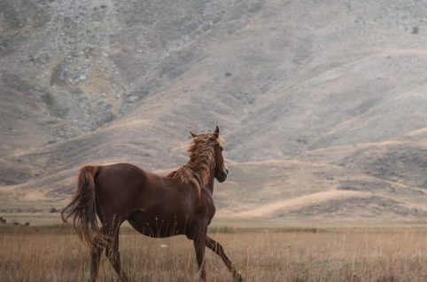 2026年1月のレッスンスケジュール