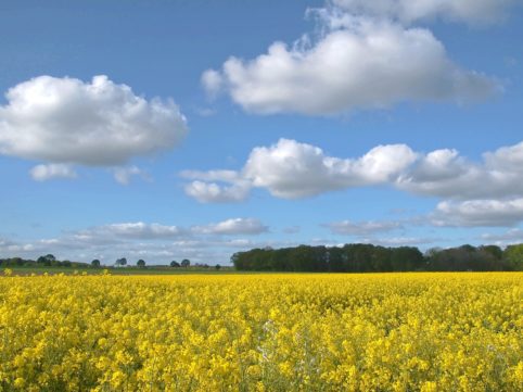 2026年3月のレッスンスケジュール