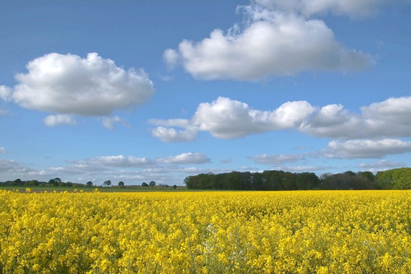 2026年3月のレッスンスケジュール